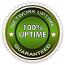 100% Network Uptime Guarantee