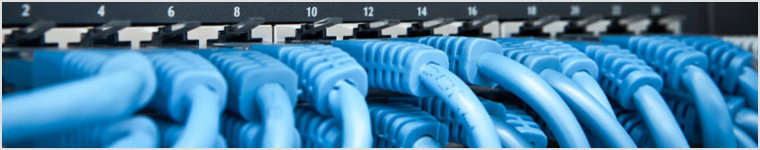 Network